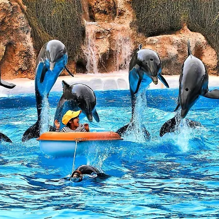 Happy Harmonia * Costa Adeje (Tenerife)